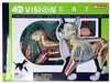 4D Vision Cat Anatomy Model