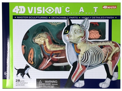 4D Vision Cat Anatomy Model