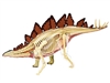 4D Vision Stegosaurus Anatomy Model