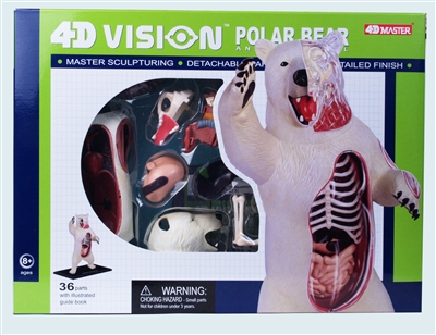 4D Vision Polar Bear Anatomy Model