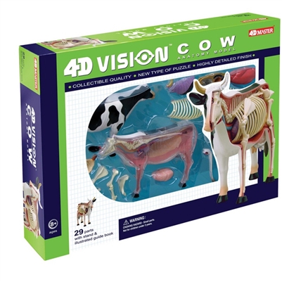 4D Vision Cow Anatomy Model