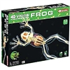 4D Vision Full Skeleton Frog Anatomy Model