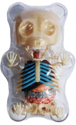 4D Gummi Bear Anatomy Model by Jason Freeny