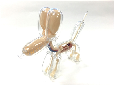 Balloon Dog Anatomy Model by Jason Freeny