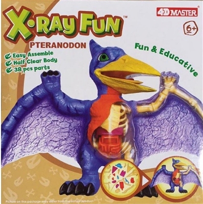4D Master X-Ray Fun Pteranodon