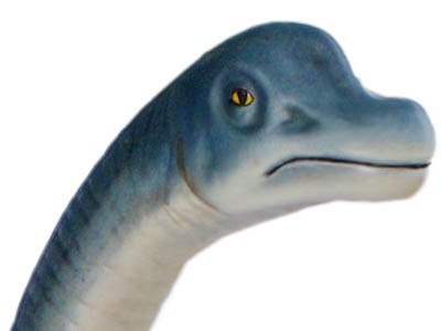 4D Vision Brachiosaurus Anatomy Model