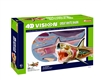 4D Vision Great White Shark Anatomy Model