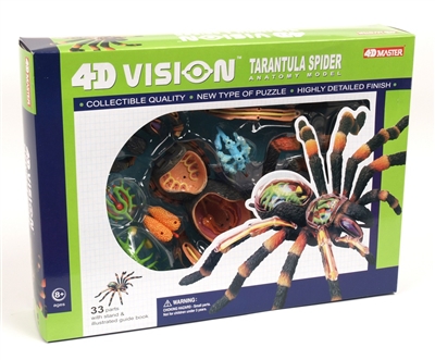 4D Vision Tarantula Anatomy Model