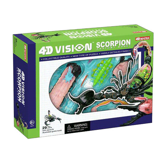 4D Vision Scorpion Anatomy Model