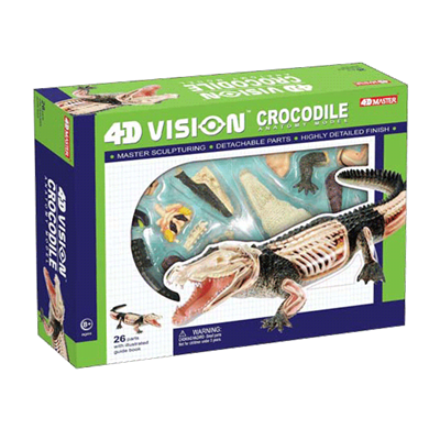 4D Vision Crocodile Anatomy Model