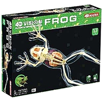 4D Vision Full Skeleton Frog Anatomy Model