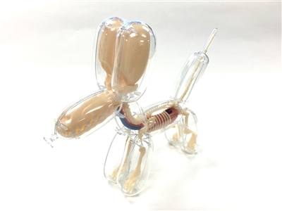 Balloon Dog Mini Anatomy Model